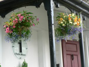 An example of Made in Cumbria and our hanging baskets